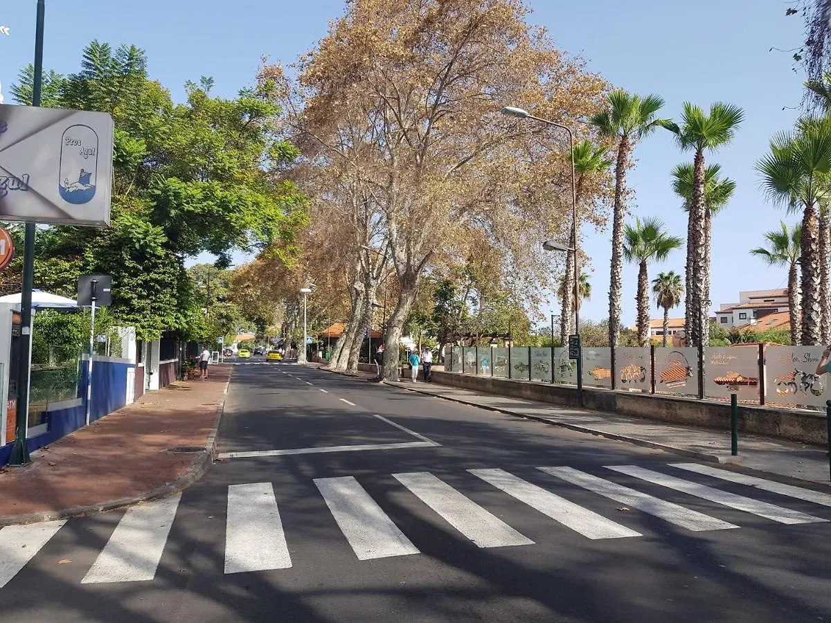 Reids Gardens Luxury Flat In Madeira Island Apartment Funchal